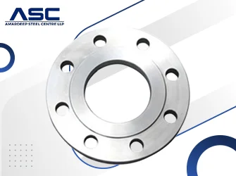 ASTM A182 Stainless Steel 317 Plate Flanges